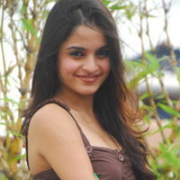 Actress Sheena Shahabadi latest Photos | Picture 46684